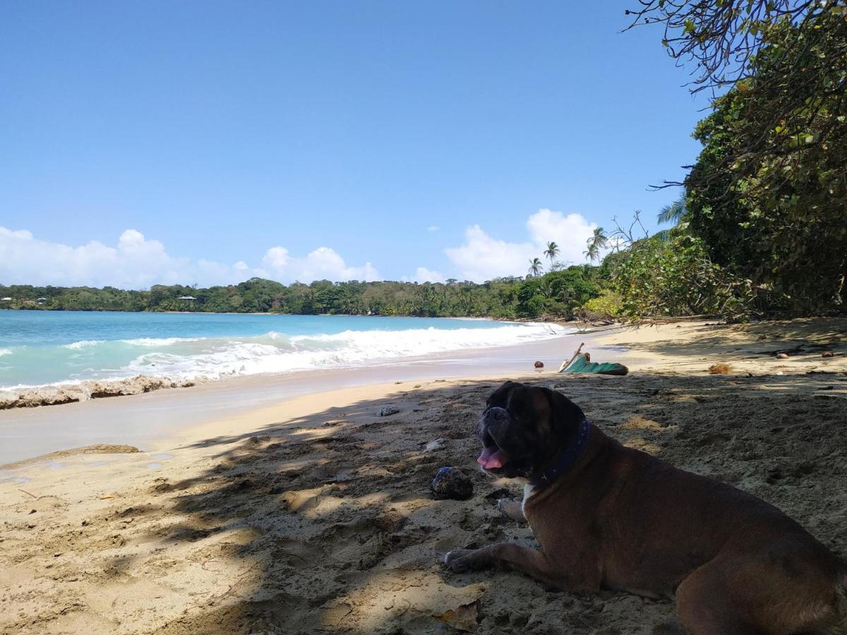 La Luciernaga Big Creek Bocas del Toro Exterior foto