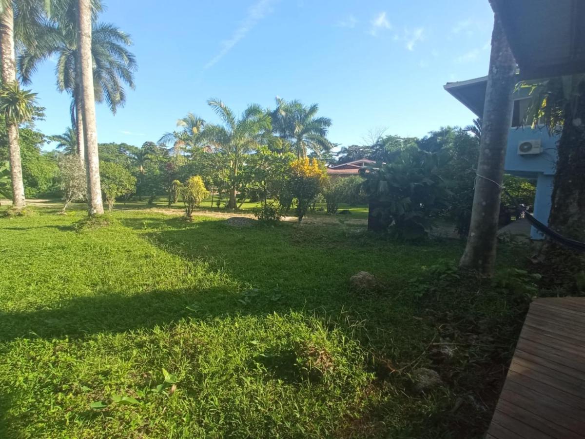 La Luciernaga Big Creek Bocas del Toro Exterior foto