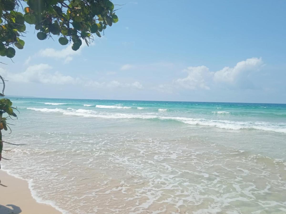 La Luciernaga Big Creek Bocas del Toro Exterior foto